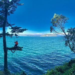 D5F3EC15-D508-46C9-B302-5E20044F0322