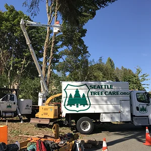 260CADAE-5C97-43D2-92C4-87C7C19F97A1