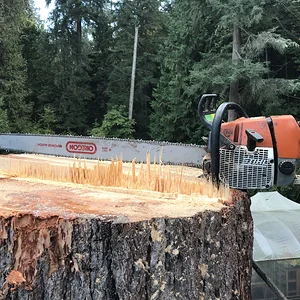 98905E40-33B3-4B49-A16F-AE58305D18B0