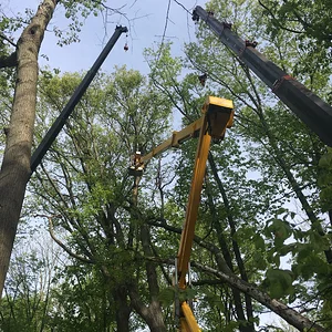 38Ton, Spider Crane, 90Lift