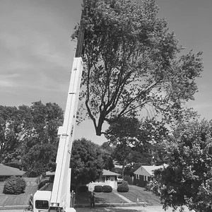 6800 lbs. 3 Dead Eyes