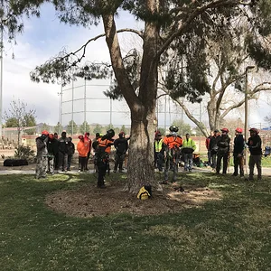 2F33C2E4-1144-4023-9318-E5A5A49F94CF