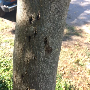 0B6CB7B3-B549-4D15-B83E-178810FDA298