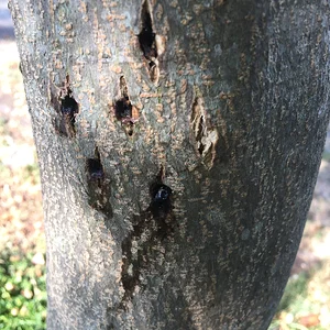 971F47C7-392E-4AA2-A345-0F136518CC6F