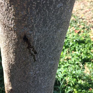 92C135FC-F6D0-4D57-B7A3-828B57D39B89