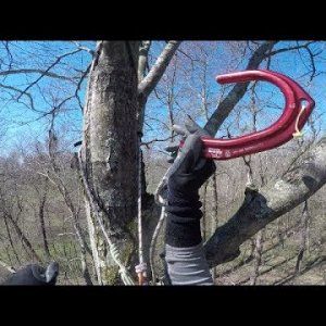 Tree to Tree Traverse & Gear Updates - Homemade Knee Ascender, Tending pulley for Hitch Hiker, MARCS