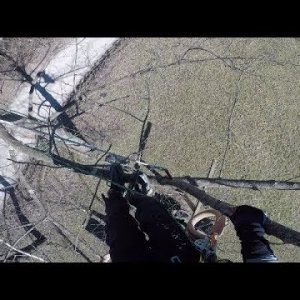 DMM Captain Hook Experiments - Securing a Light Branch Tip for a Limb Walk