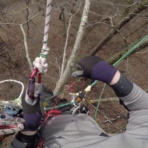 Recreational Tree Climbing: The Climb, Part 2 of 2, hook line jiggle technique, H.E.L.L. lanyard