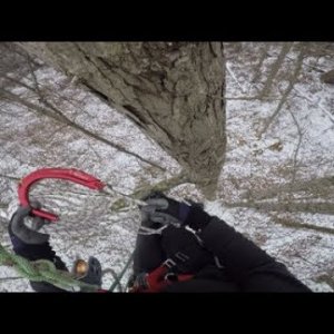 Moving Among White Oaks - DMM Captain Hook & 50' Lanyard Combo