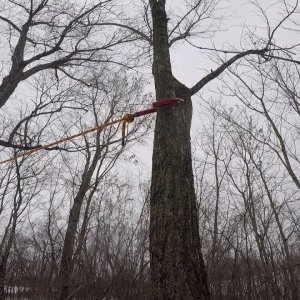 DMM Captain Throwing Hook - First Use