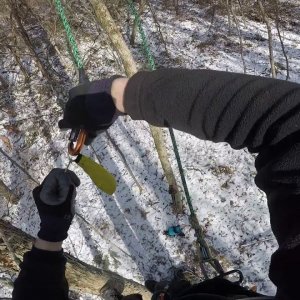 Tree traverse with magnetized grapnel + leaping & pruning