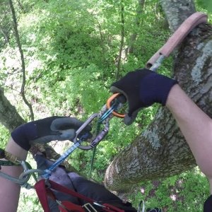 Traversing tree to tree using 2 throwlines and grapnel