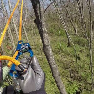 Tree climb & roundtrip traverse