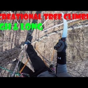 Recreational Tree Climbing: High & Long, Traversing Tree to Tree