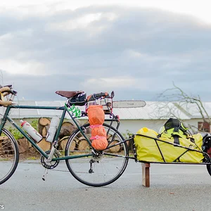 Cycle arborist-1.jpg