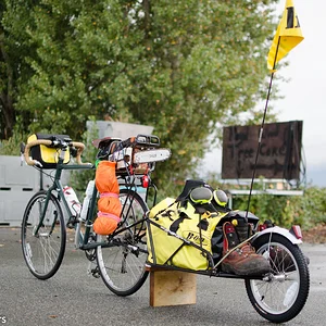 Cycle arborist-2.jpg