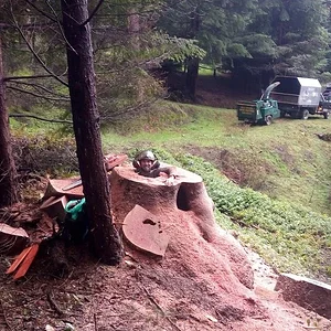 Another Day In My Office!