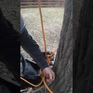 Bihun daisy chain basal anchor