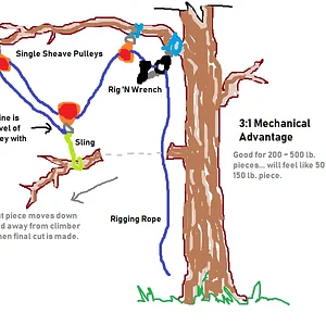 Media '3:1 DWT with RnW and OmniBlock Pulleys' in album 'Rigging Setups'