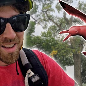 Climbin' a Big Ol' Cottonwood