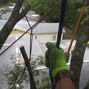 double whip with Blue Moon.jpg