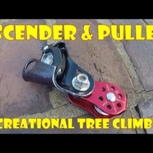 Ascender & Pulley for Tree Climbing_Easy mechanical advantage_Petzl Basic_ISC Fixed Plate Pulley