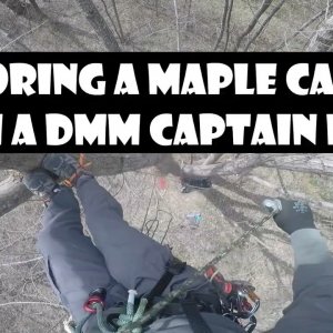 Traversing & Exploring a Maple Canopy with a DMM Captain Hook_Recreational Tree Climbing