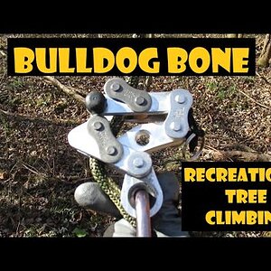 Bulldog Bone_Recreational Tree climbing