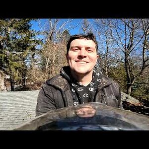 Groundie with the Save: Crispy Dead Spruce Removal