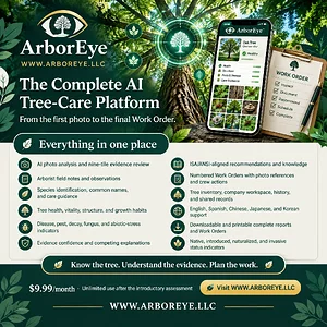 arboreye-feature-ad-square.webp