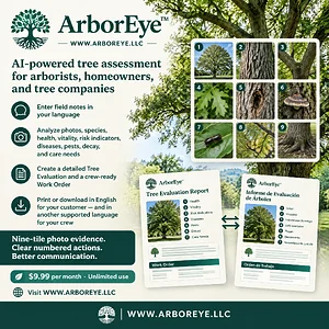 arboreye-english-ad-square.webp