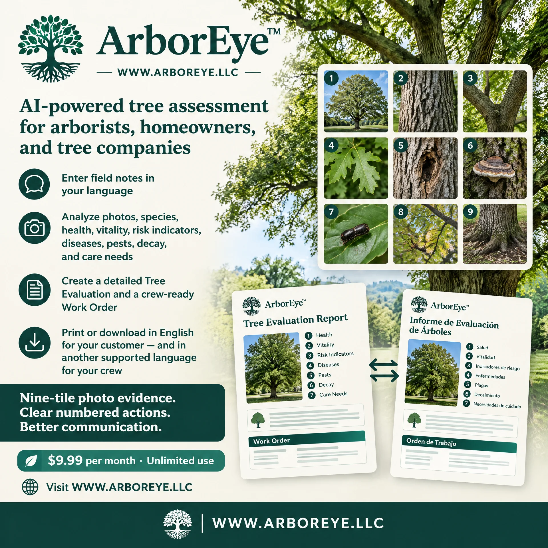 arboreye-english-ad-square.webp