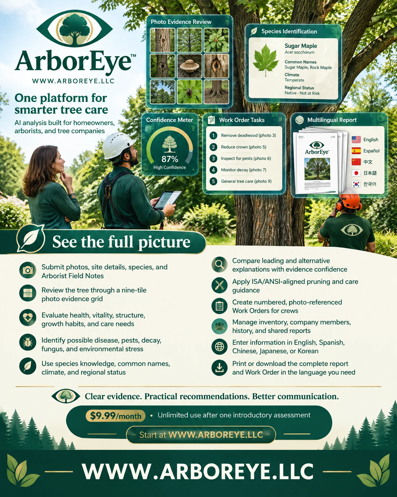 arboreye-feature-ad-4x5.webp
