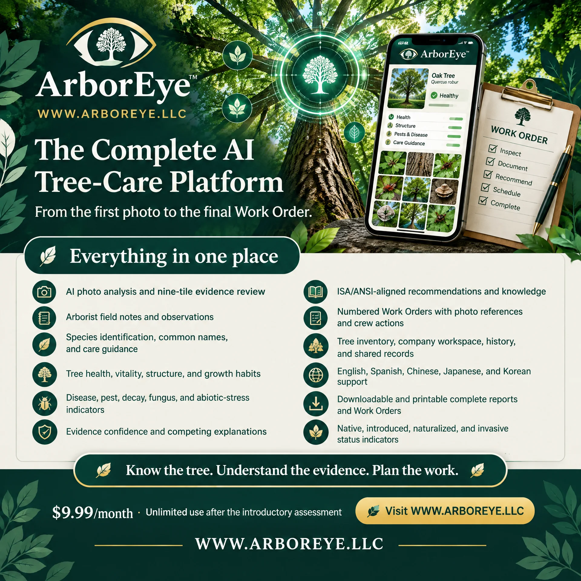 arboreye-feature-ad-square.webp
