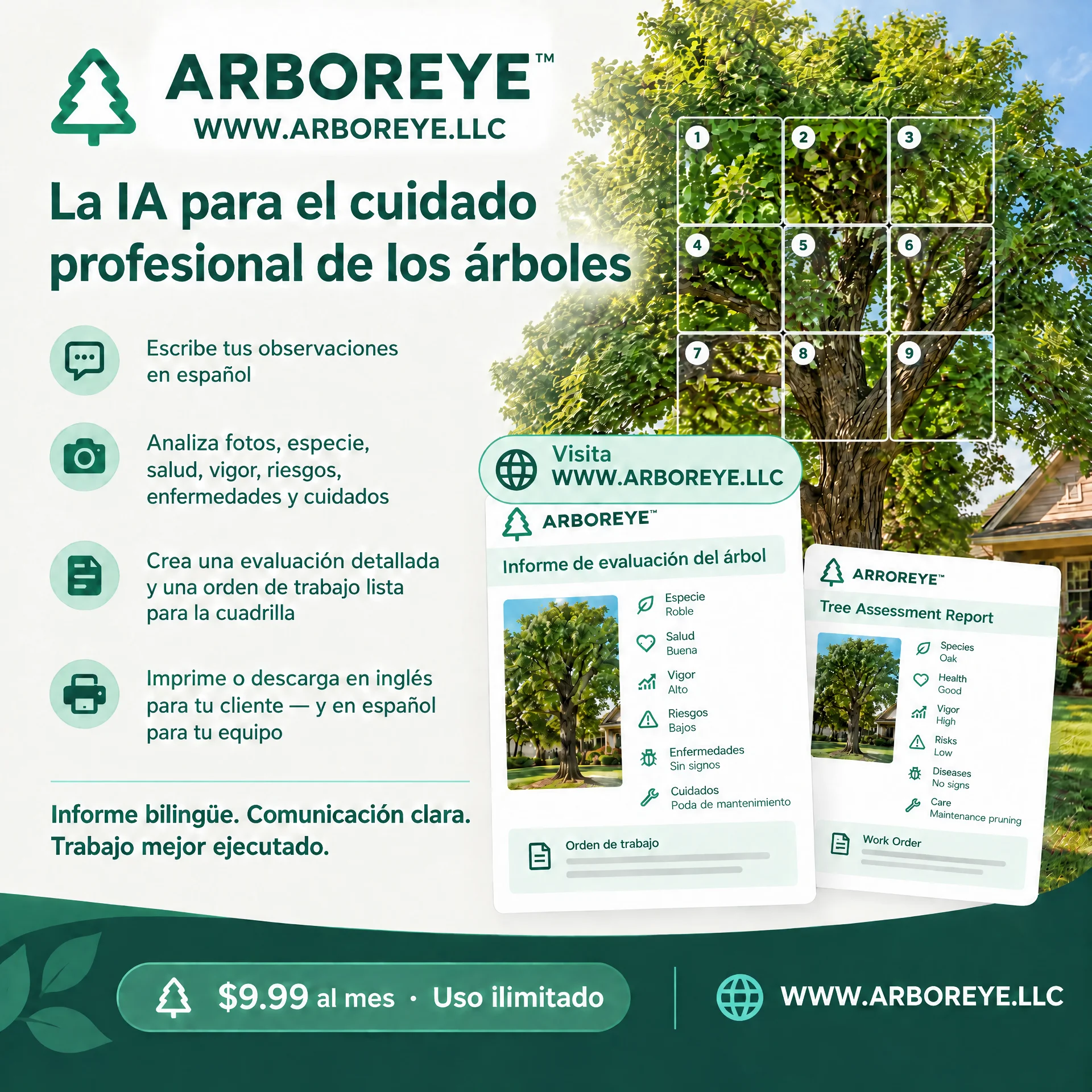 arboreye-spanish-ad-square-final.webp