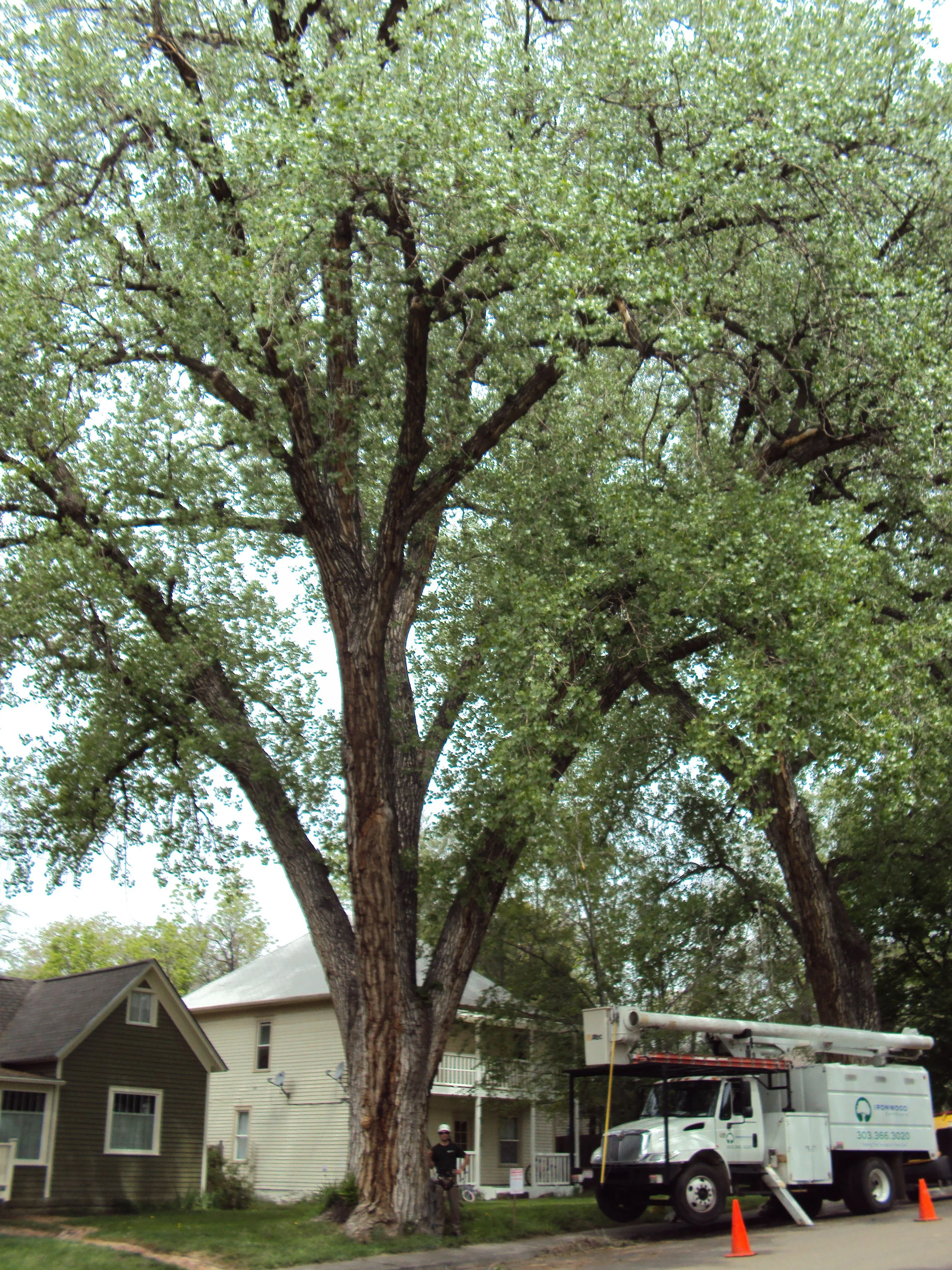 DSC00428