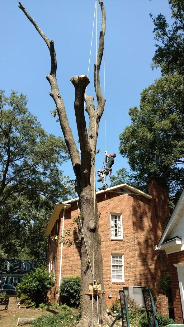 NOwXcg_9yH_B74tPtNGgbXNRSFE3VJj7aVzpnnY79fi3mM7jsl6YrkTJyXbqQvJQI7iaSly4LwQ=w1680-h1050-no