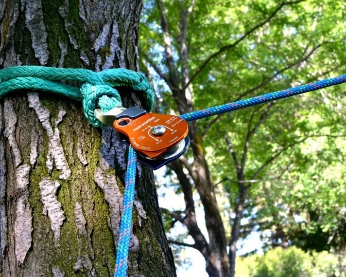 Rock Exotica 2.6" P55 Pulley