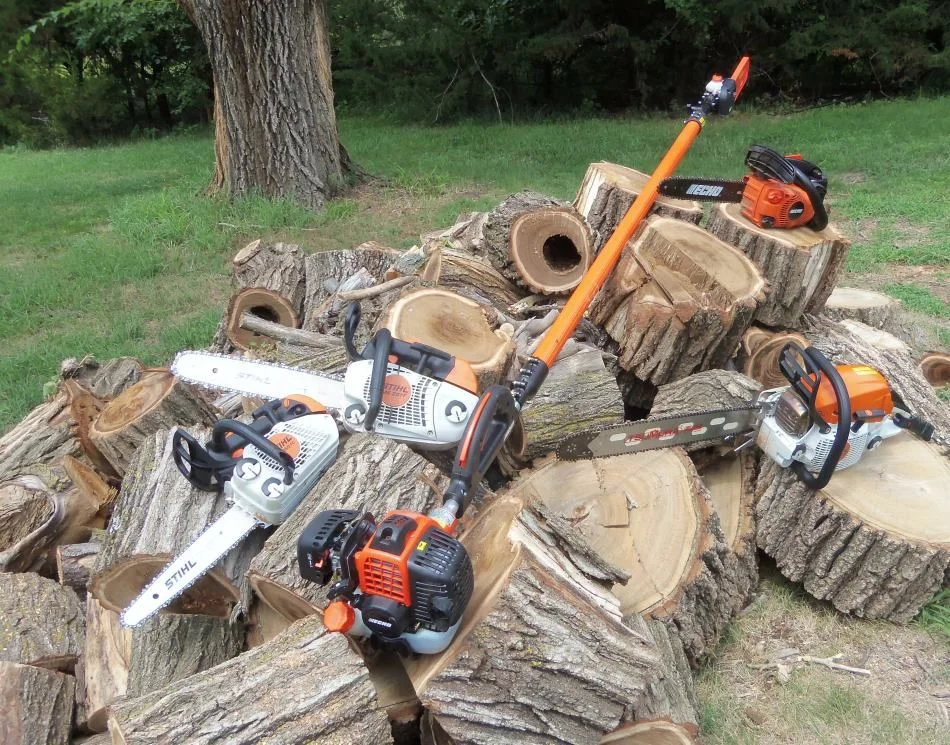 Saws on pile of firewood...